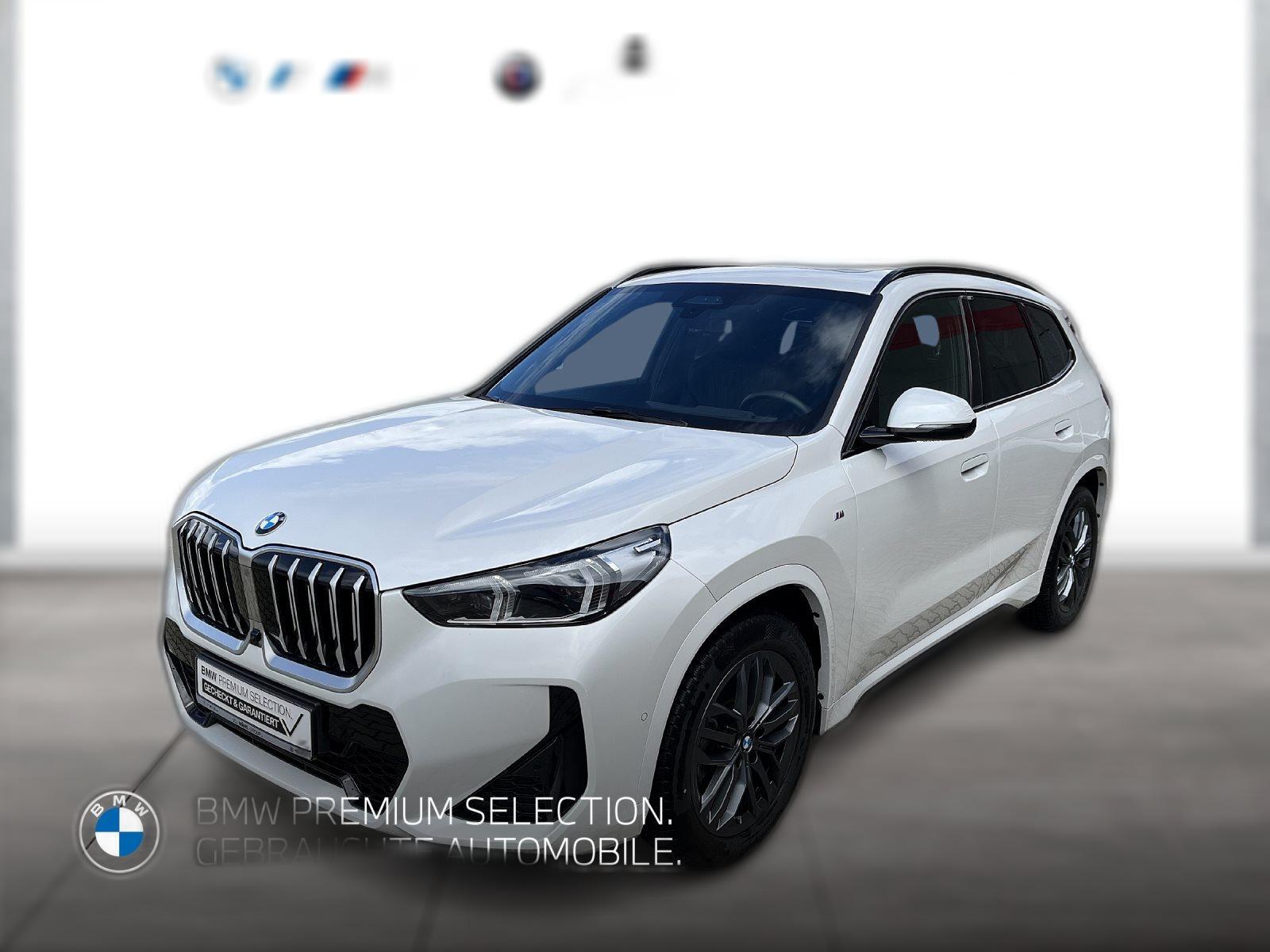 BMW X1 sDrive18i M Sport | Head-Up Navi Glasdach